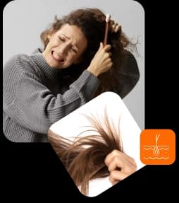 شعر جاف وأطراف متقصفة